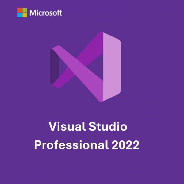 Microsoft Visual Studio 2022 Professional IDE