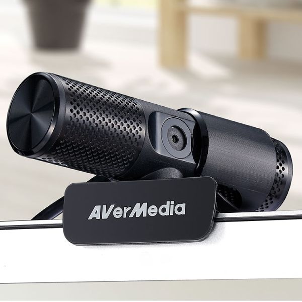 AVermedia Webcam USB Live Streamer 313