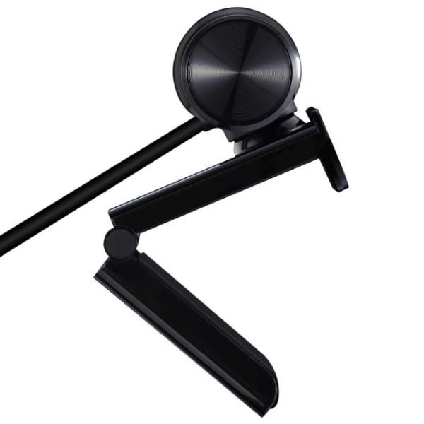 AVermedia Webcam USB Live Streamer 313