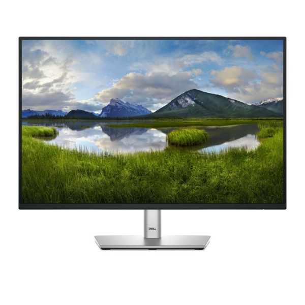 Dell P2425 professional monitor