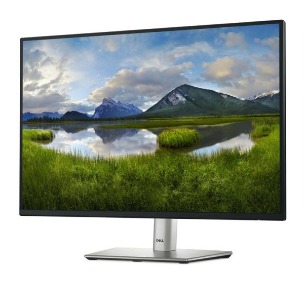 Dell P2425 IPS monitor