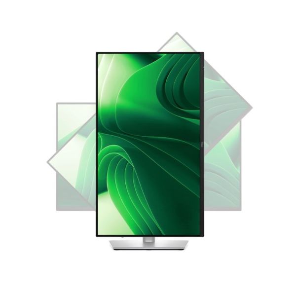 Dell Pro 24 Plus P2425DE professional multi monitor setup