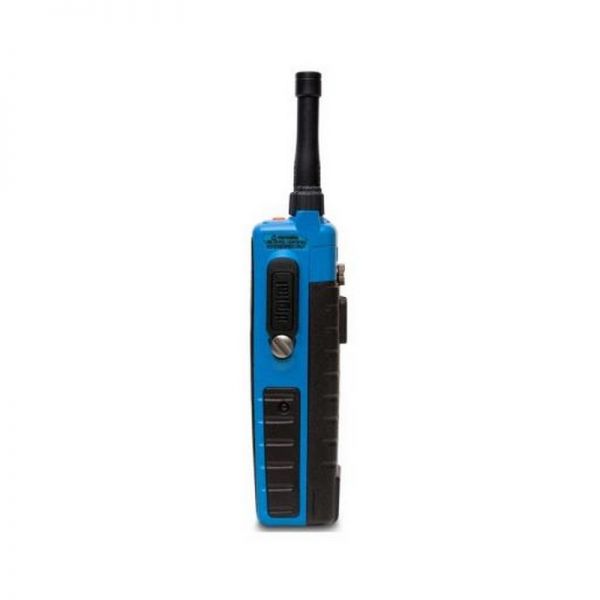 Entel DT952 ATEX