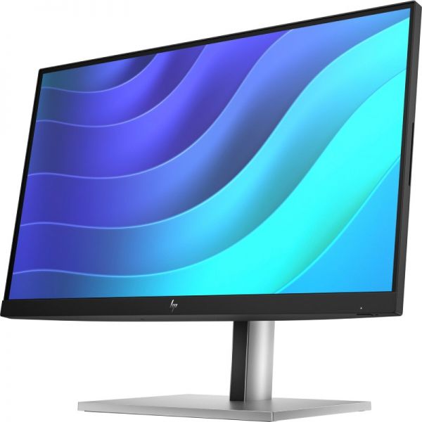 HP E22 G5 FHD Monitor