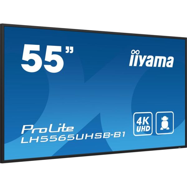 iiyama ProLite LH5565UHSB-B1
