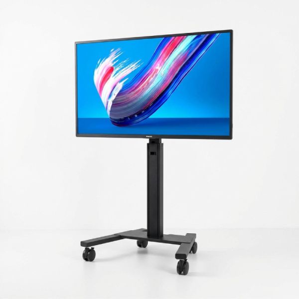 Pack Philips 55BDL3650Q 55'' + Neomounts FL50S-825BL1