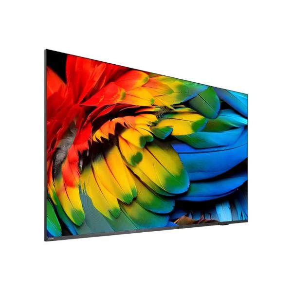Philips 65HFL6214U 4K Display