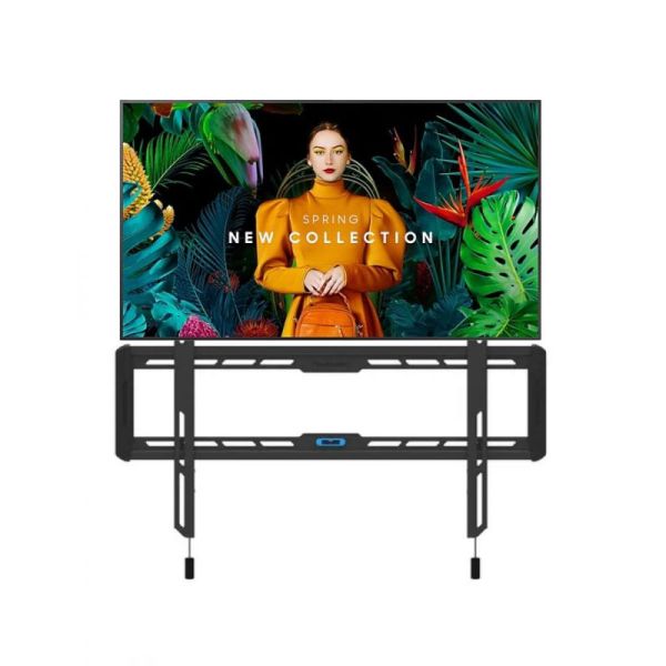 Samsung QMC 65'' + Wandhalterung Neomounts