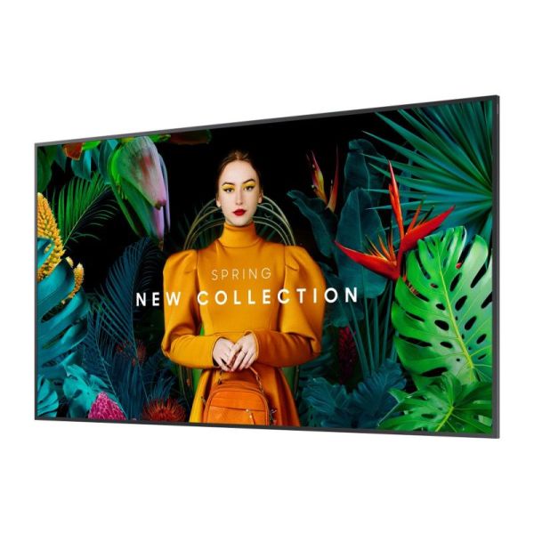 Samsung QMC 65'' + Wandhalterung Neomounts