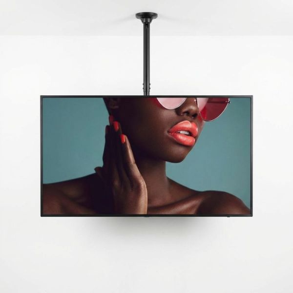 Neomounts FPMA-C340BLACK ceiling mount with Sony BRAVIA BZ40L 75