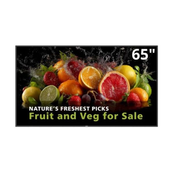 Philips 65BDL5050D 4K signage screen