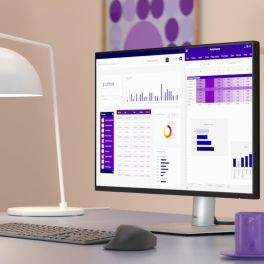 Dell P2425E Monitor USB C Hub 24 inch office desk setup