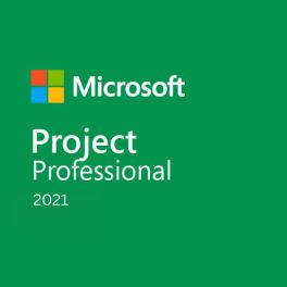 Microsoft Project 2021 Professional