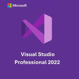 Microsoft Visual Studio 2022 Professional IDE