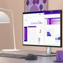 Dell Pro 24 Plus P2425HE professional office setup