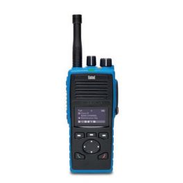 Entel DT953 ATEX