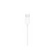 Apple EarPods USB-C 