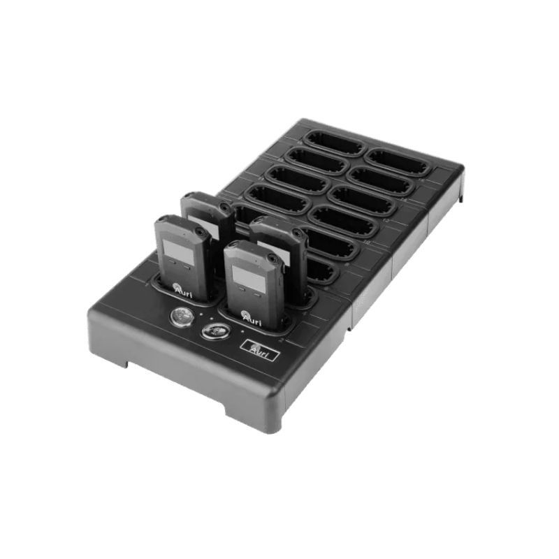 AURI D16 03 Ladestation 16 Steckplätze