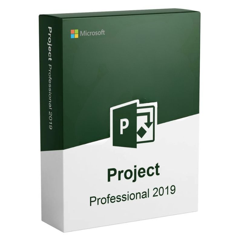 Microsoft Project 2019 Pro