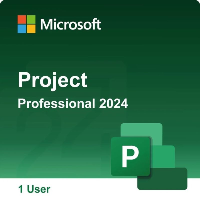 Microsoft Project Standard 2024 Für 1 PC