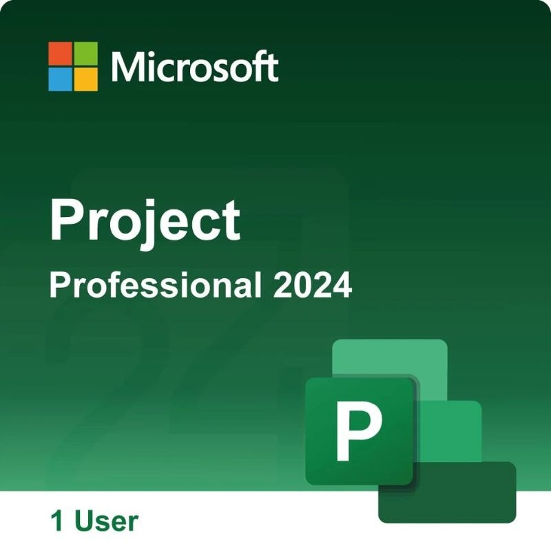 Microsoft Project Standard 2024 Für 1 PC