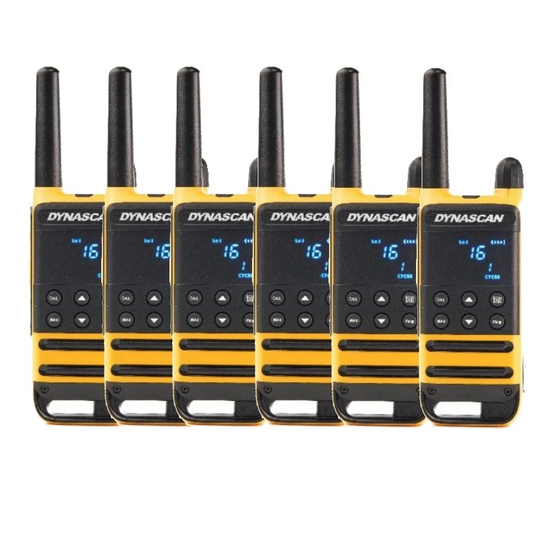 6er Pack Dynascan P19