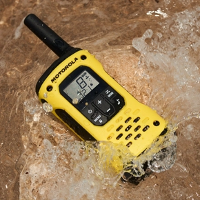 Alles was Sie über den IP-Schutz wissen müssen